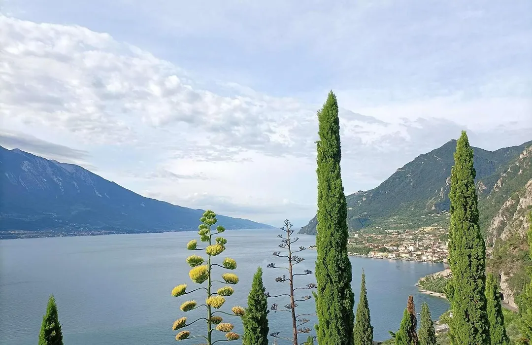 Centro Vacanze La Limonaia-1