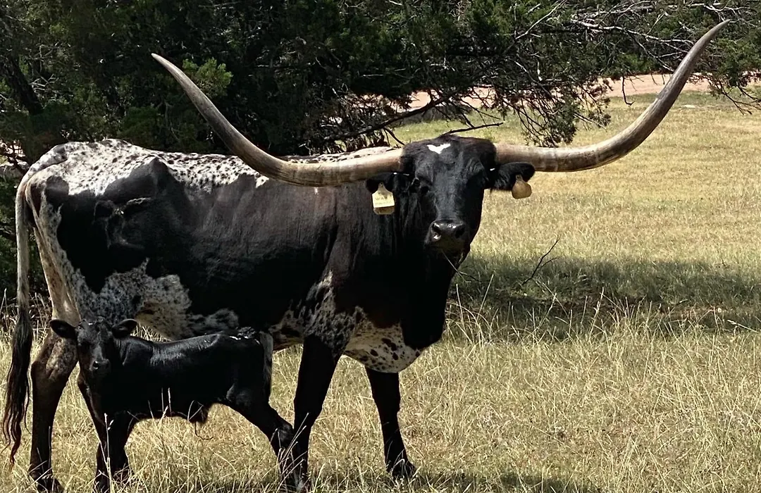 Around The Bend Bungalow-1