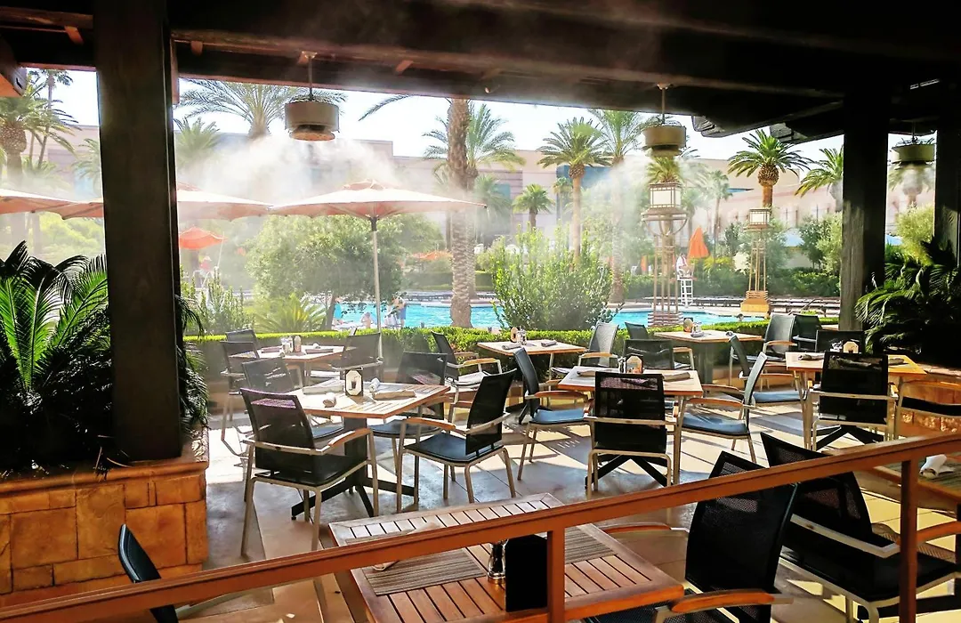 Strip & Sphere View - Separate Living Room - 2 Full Bath - Full Kitchen - Balcony - 900 Sqft - Mgm Signature-1