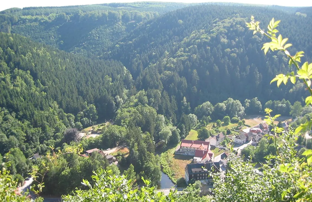 GreenLine Ferienhotel Forelle-1