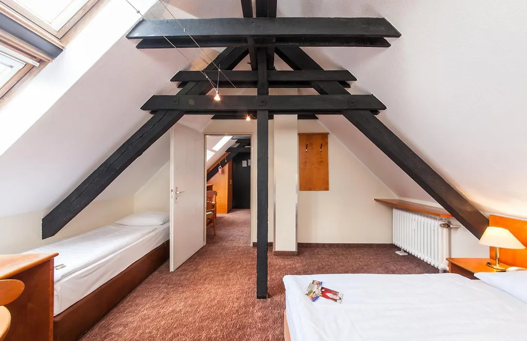 Hotel Ahl Meerkatzen-1