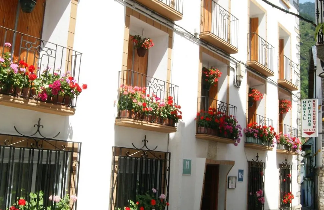 Hostal Pirineos Meliz-1