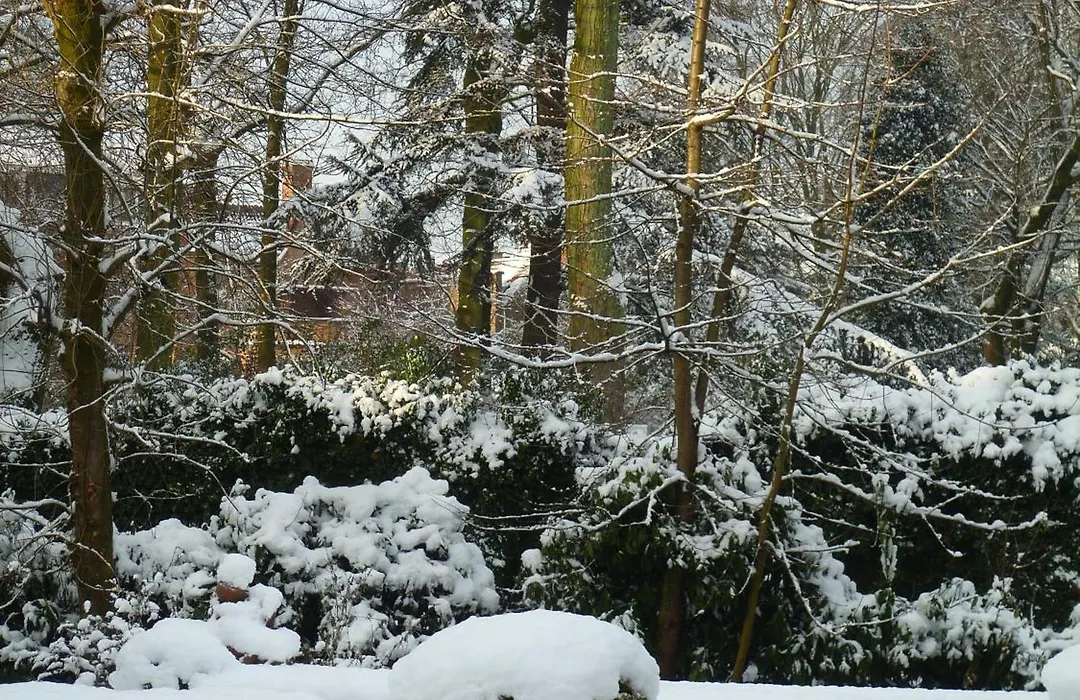 B&B Speelmansrei-1