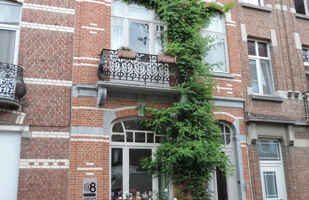 B&B Lodging At 8-1