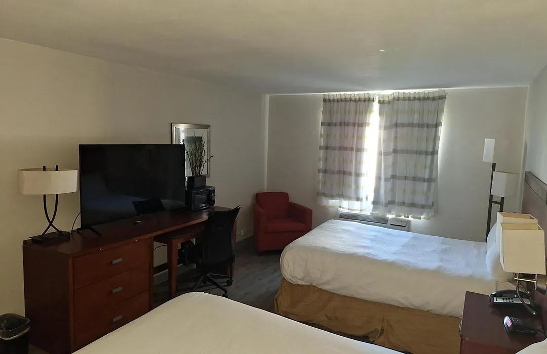 The Hotel Orange-1