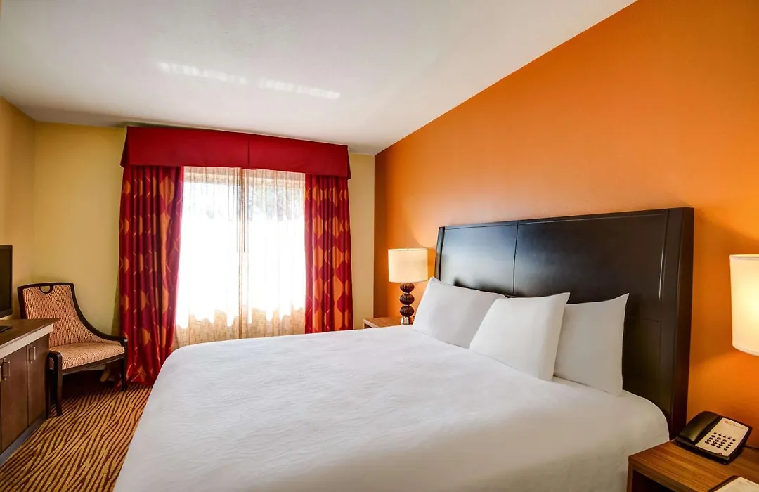 Hilton Garden Inn Tampa Ybor Historic District-1