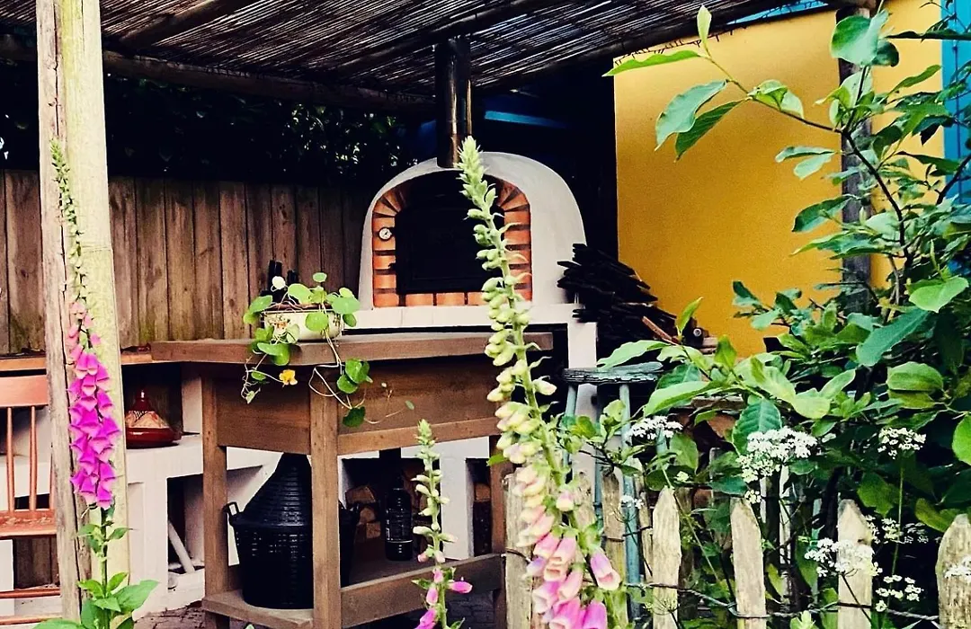 In de Aap - Appartementen&Guesthouse-1