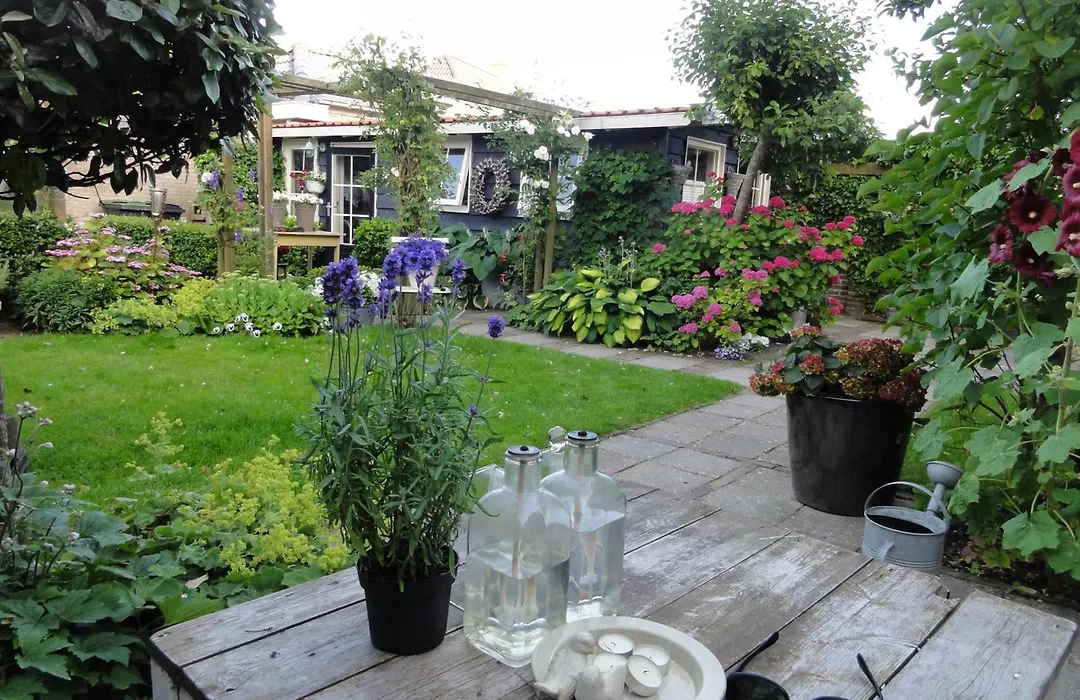 B&B Dichtbij Zee-1