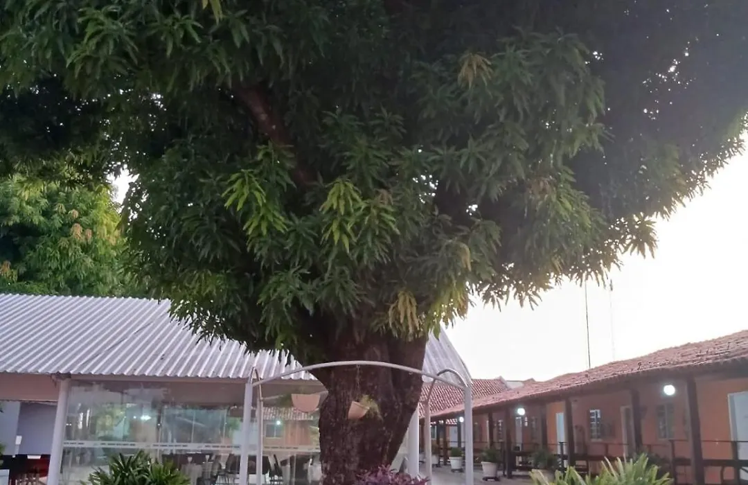 Hotel Cajuína Sul-1
