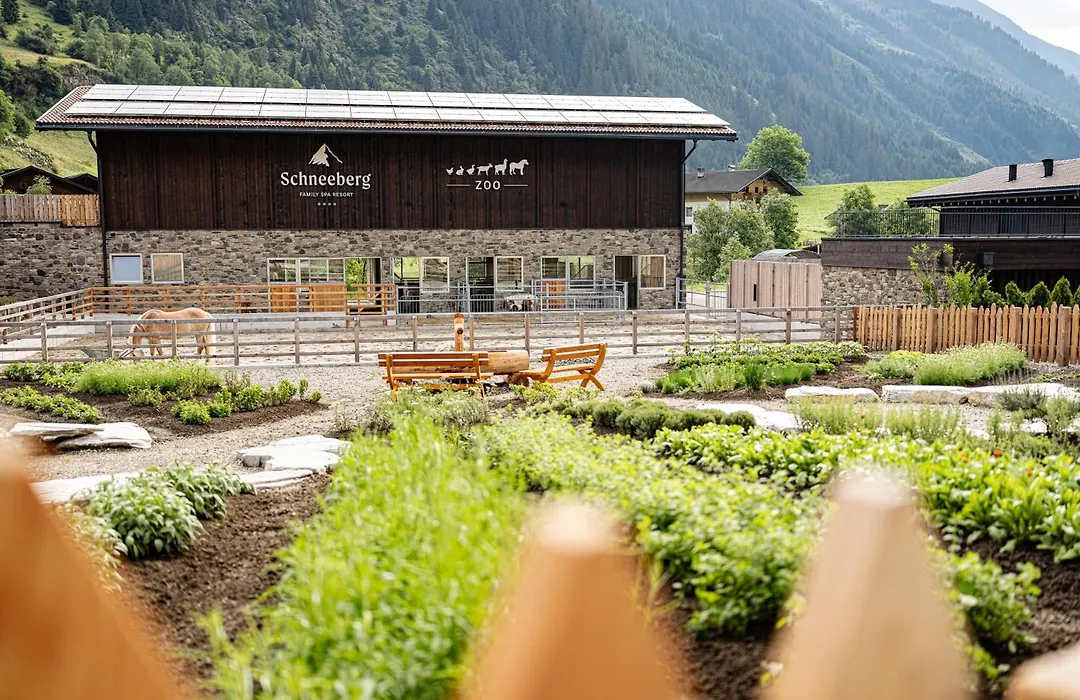 Hotel Schneeberg Family Spa Resort-1