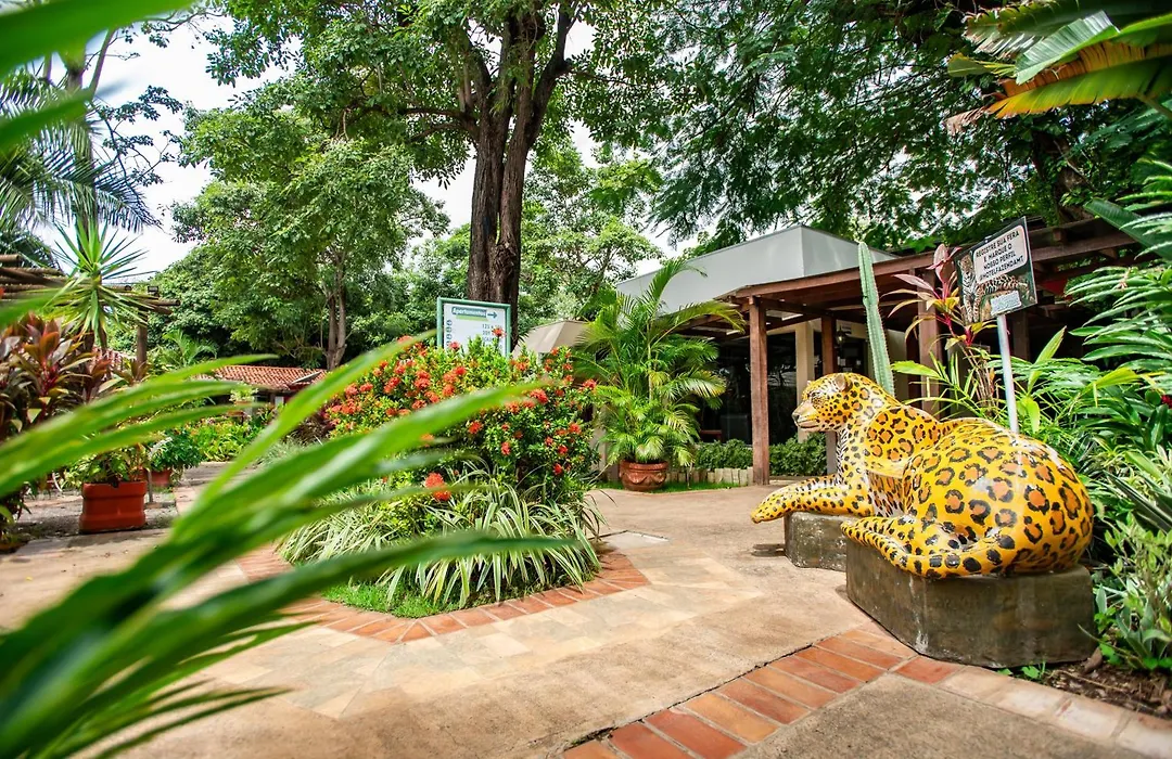 Hotel Fazenda Mato Grosso-1