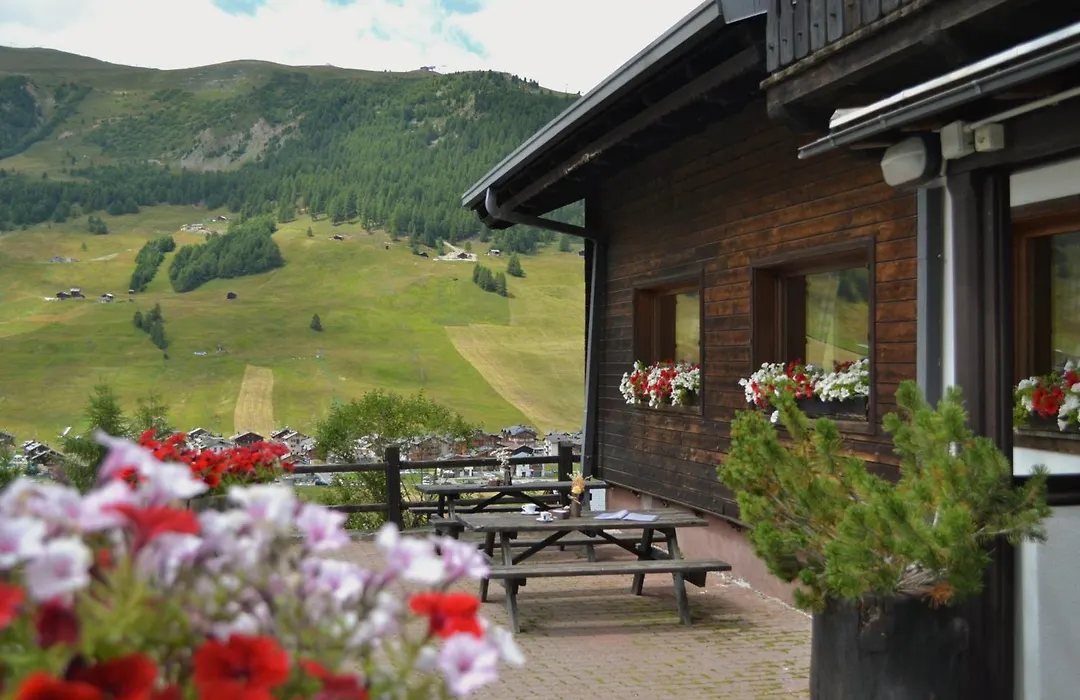 Hotel Teola-1