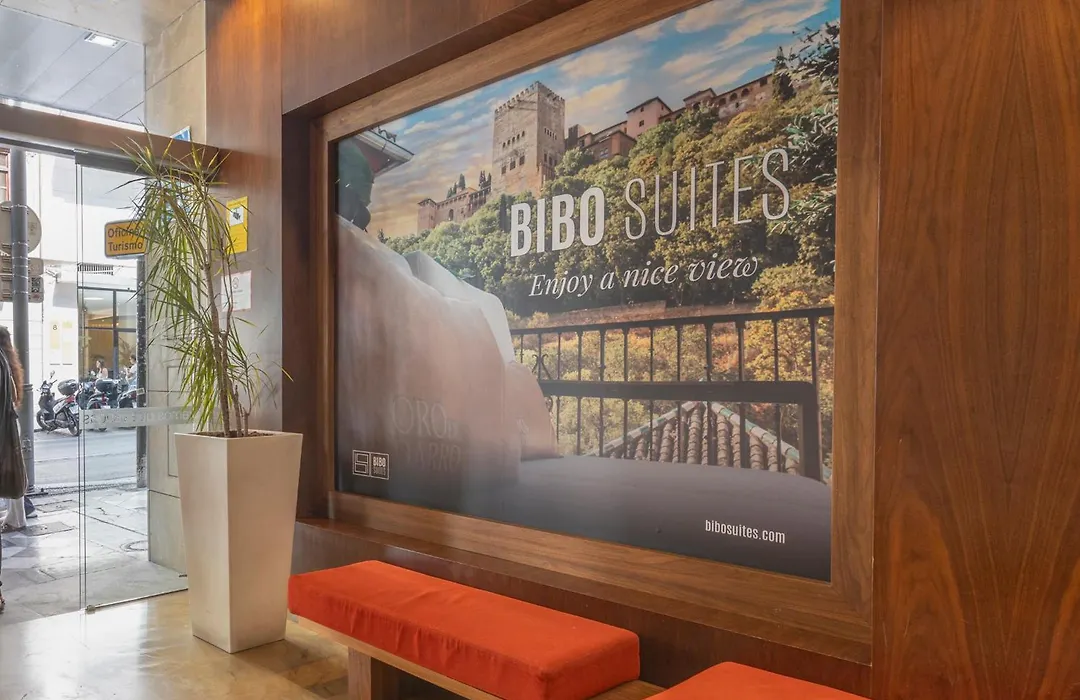 BIBO Hotel Recogidas-1