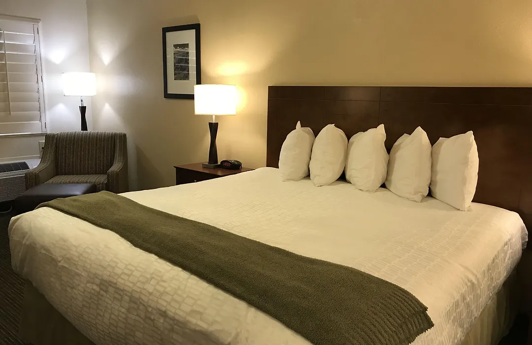 Dinosaur Inn & Suites-1