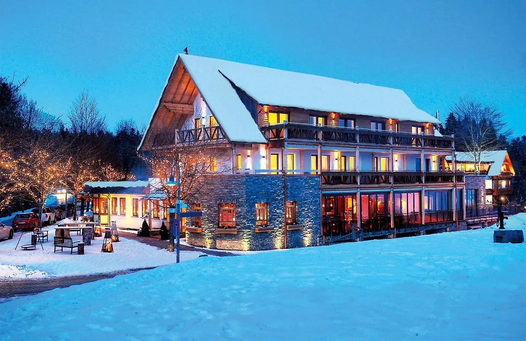 Hotel Grüner Wald-1