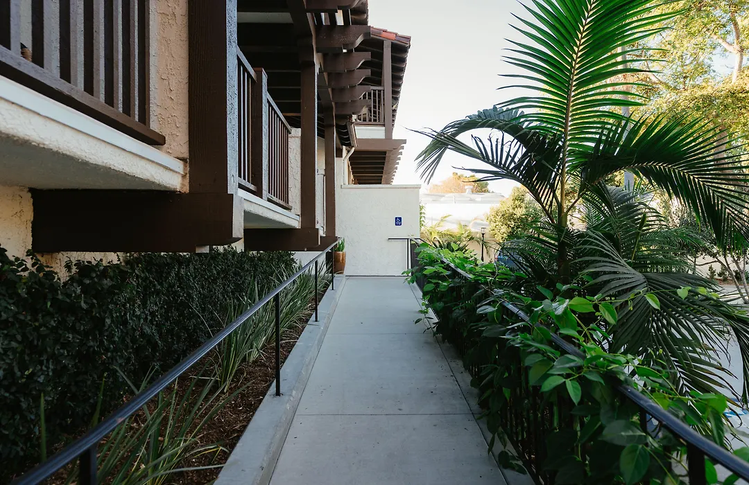 Palmoro House-1
