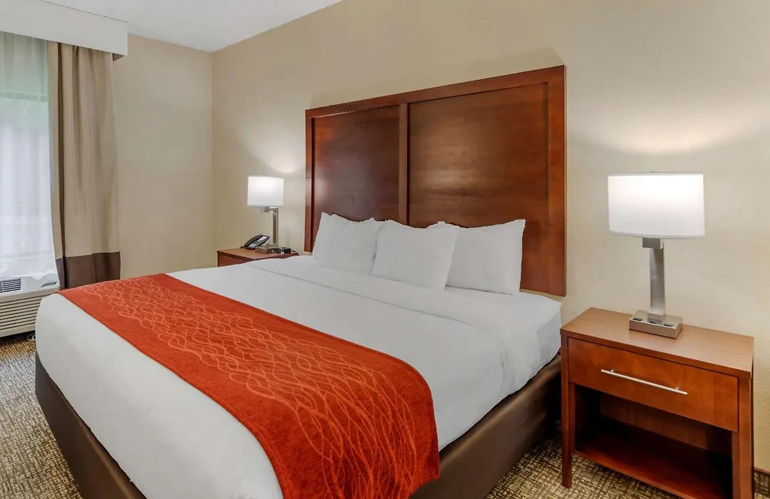 Comfort Inn & Suites Canton Riverstone Area-1