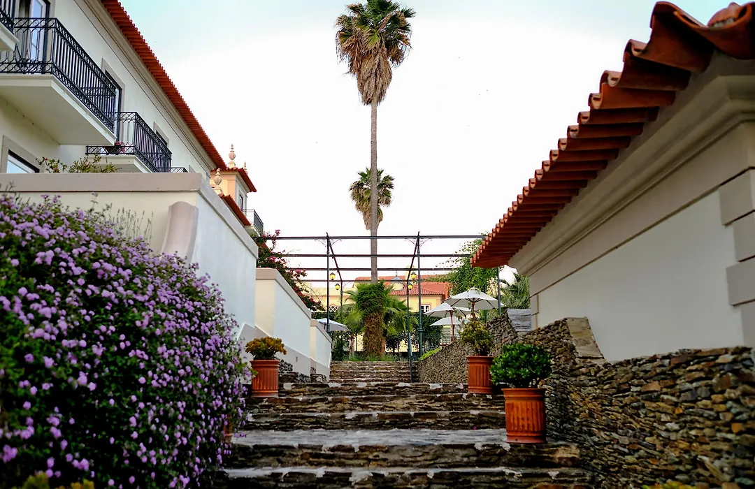 The Vintage House - Douro-1