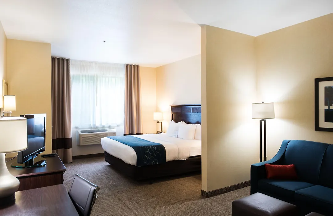 Comfort Suites Lake Geneva East-1