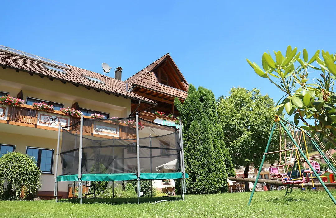 Landgasthof Adler Pelzmühle-1