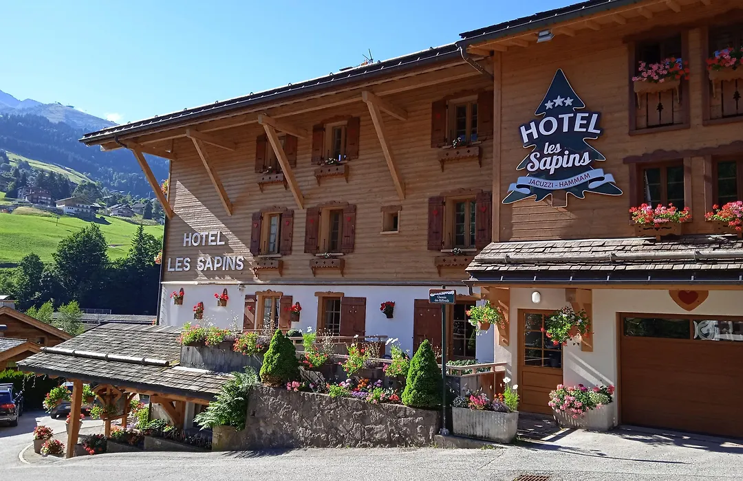 Hotel les Sapins-1