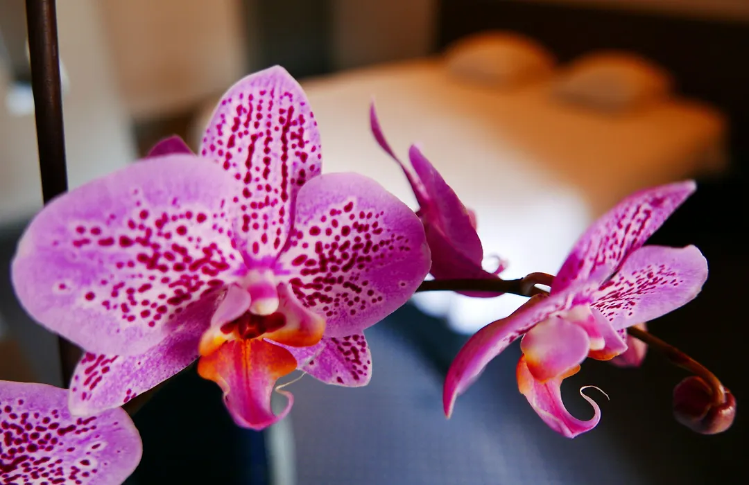 Hotel De Normandie-1