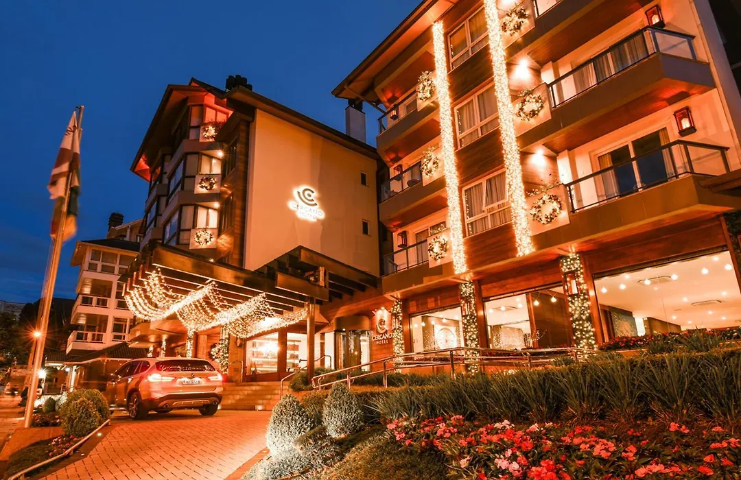 Hotel Cercano-1