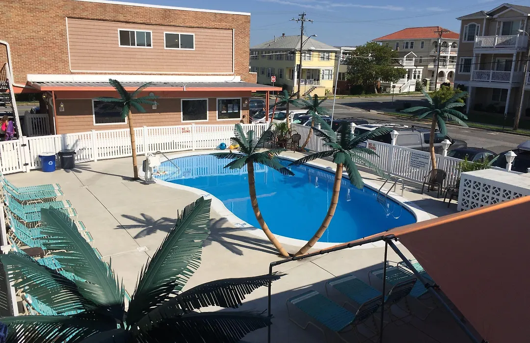Dolphin Inn-1