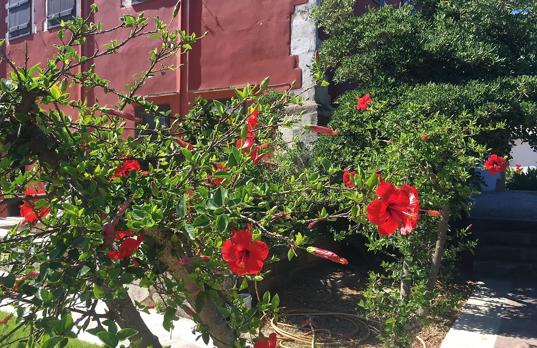 Oasis Guesthouse-1