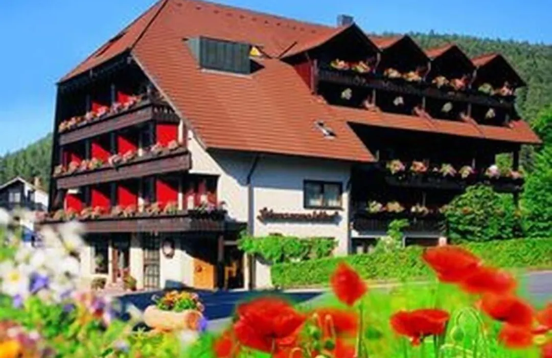 Hotel Schwarzwaldhof-1