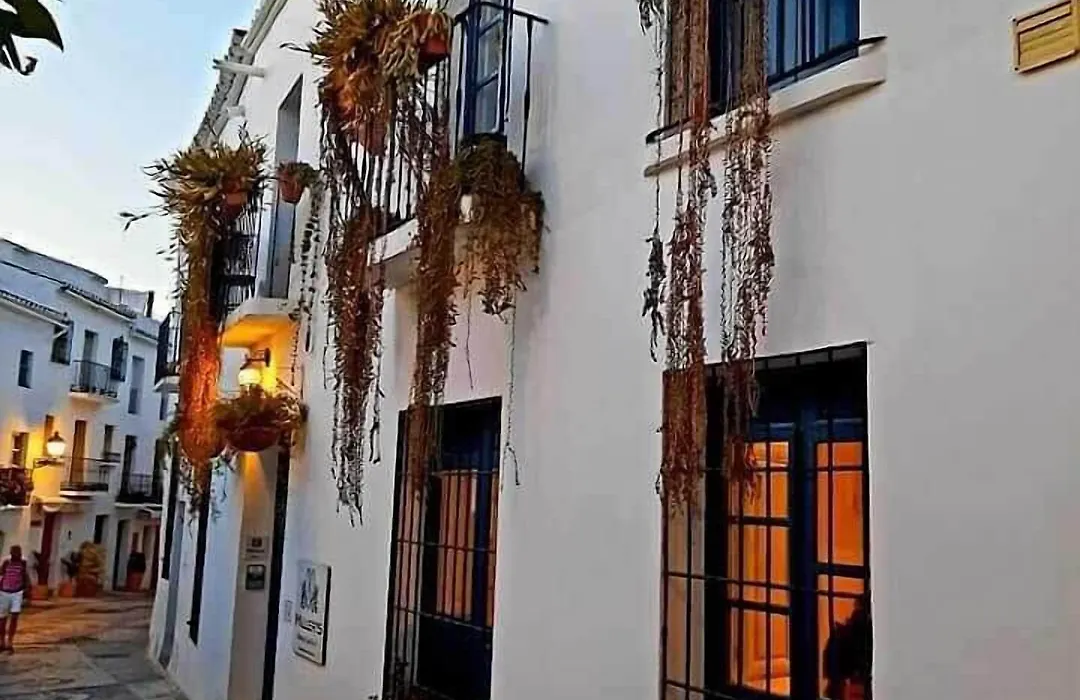 Casa Rural Miller'S Of Frigiliana-1