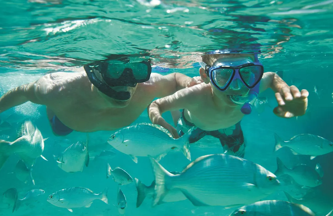 Hyatt Vivid Cancun (Adults Only)-1
