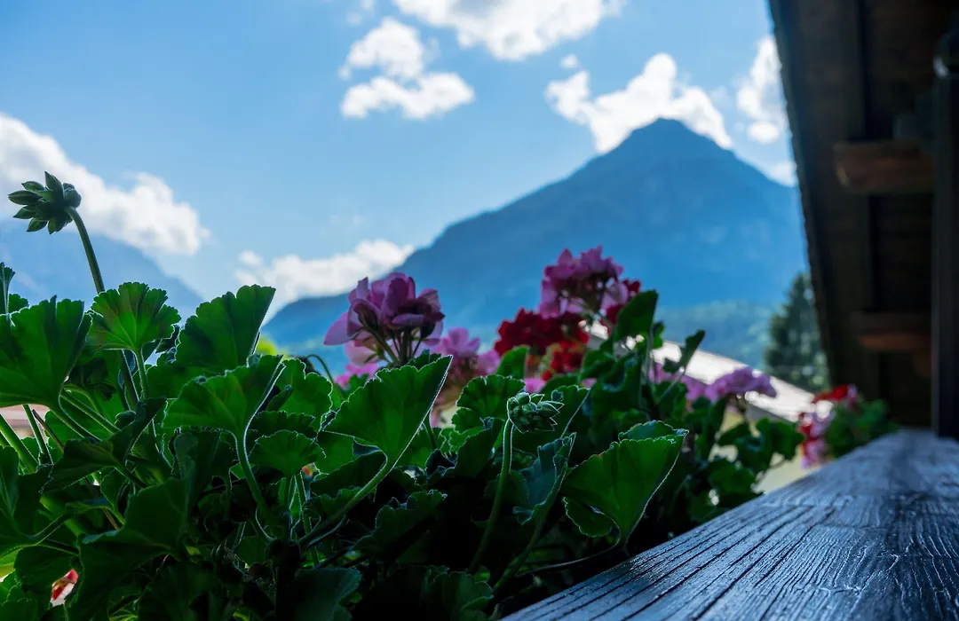 Hotel Garni Zugspitz-1
