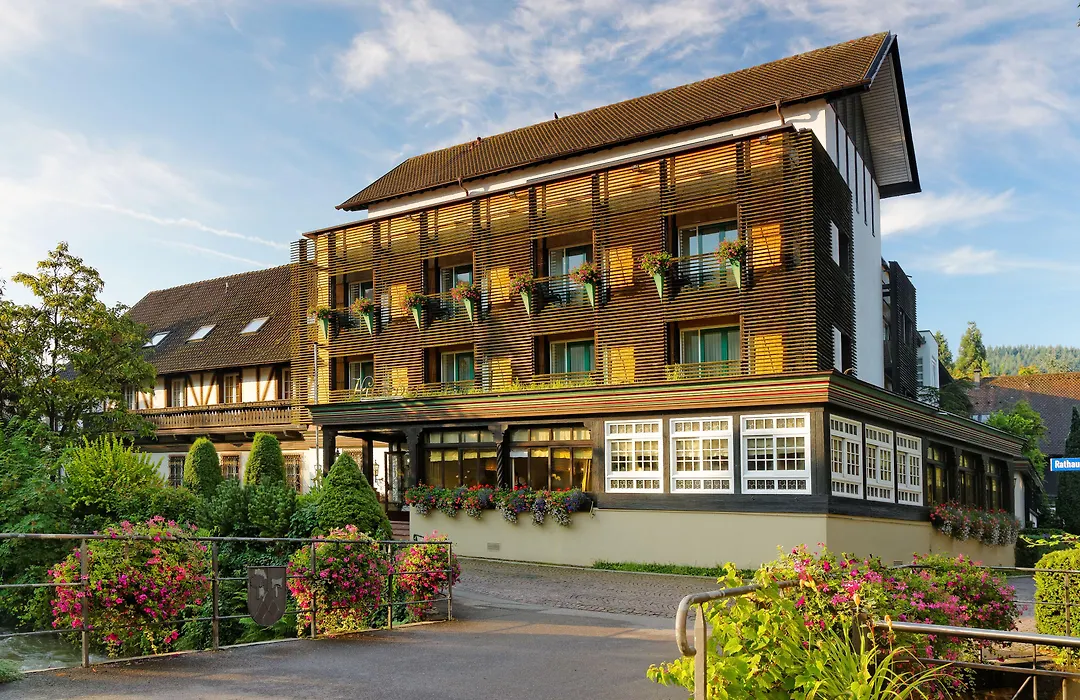Hotel Hirschen-1
