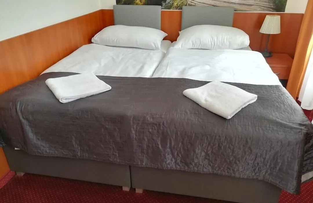 Hotel Zlata Vaha-1