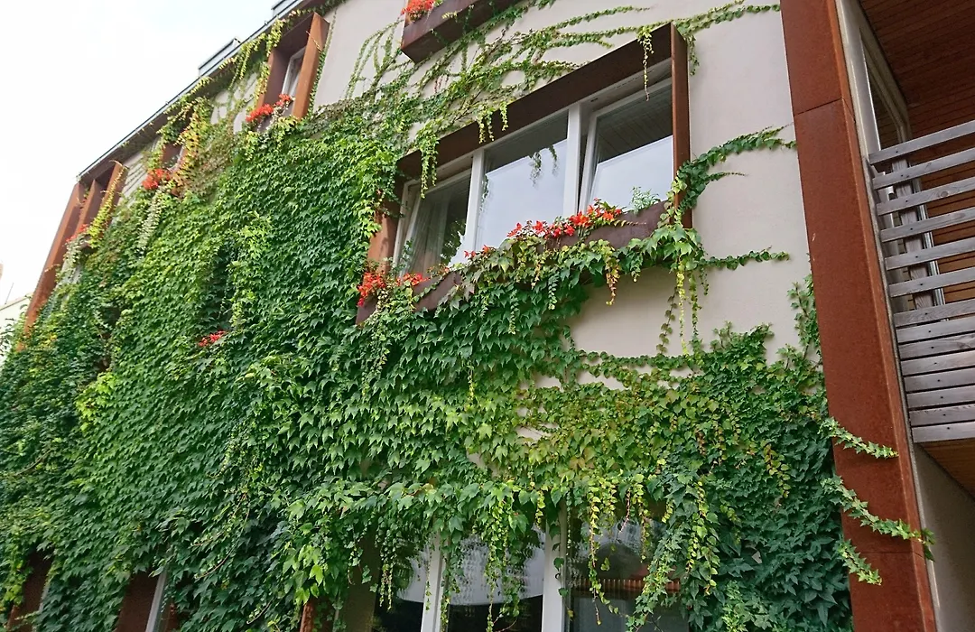 Familienhotel Weimar mit Ferienwohnungen-1