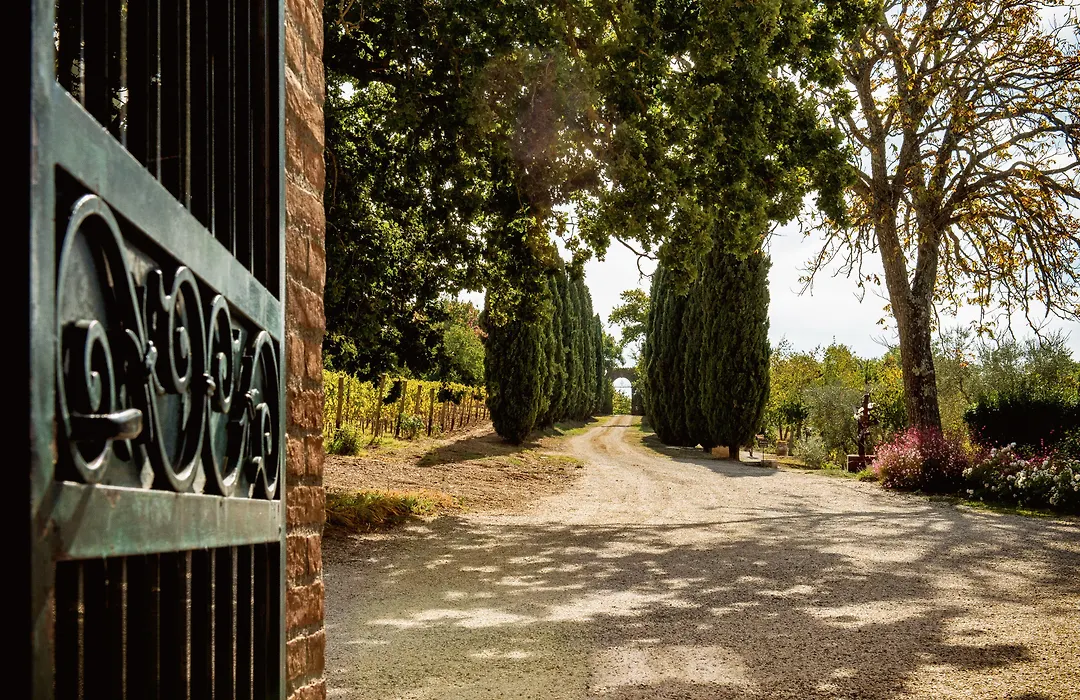 Villa Le Prata - Winery&Accommodation - Adults Only-1
