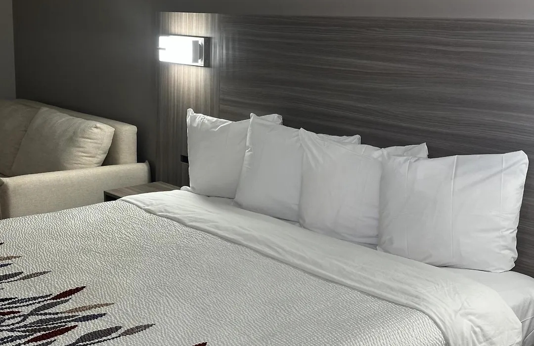 Red Roof Inn & Suites Middleborough-1