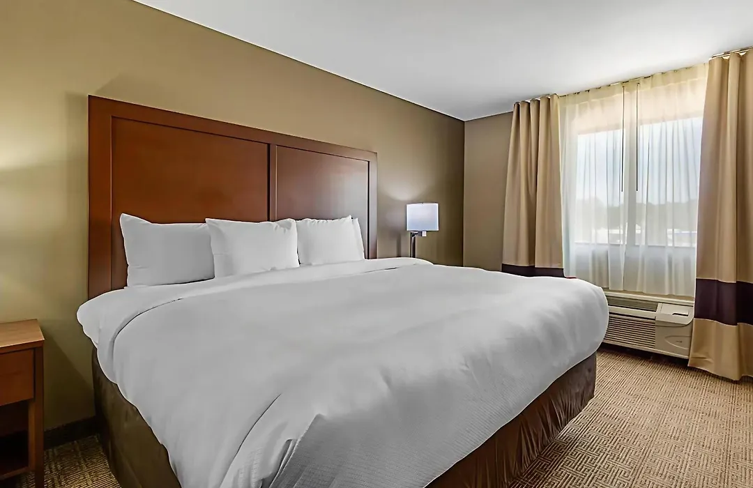 Comfort Inn & Suites Mccomb-1