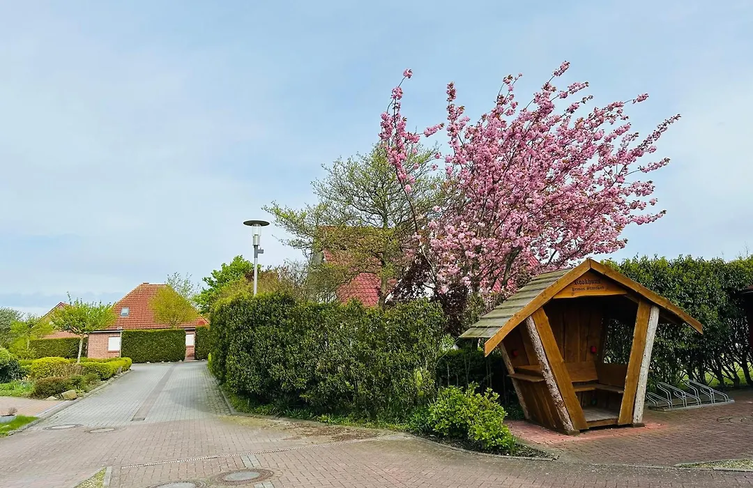 Hotel "Pension" Strandkorb-1