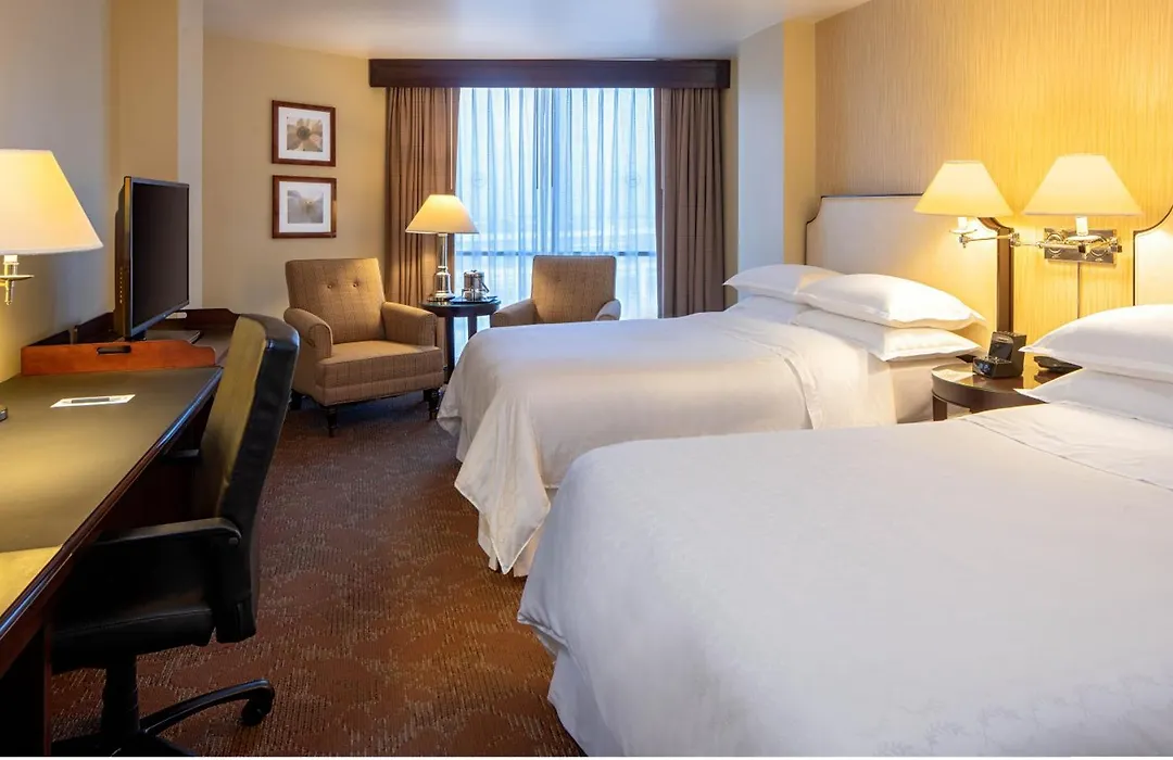 Sheraton Houston Brookhollow Hotel-1