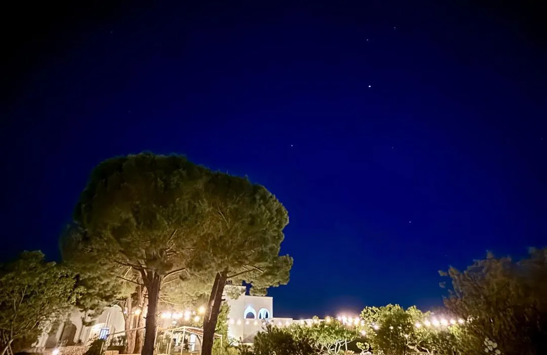 Tenuta Ermes-1