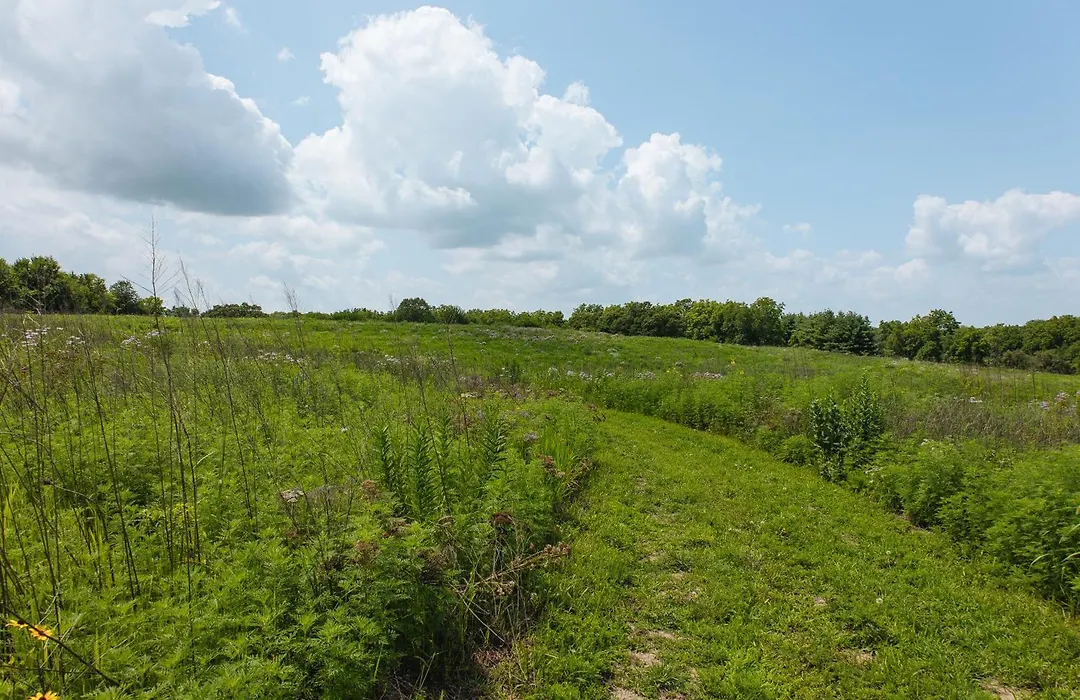 Lied Lodge At Arbor Day Farm-1