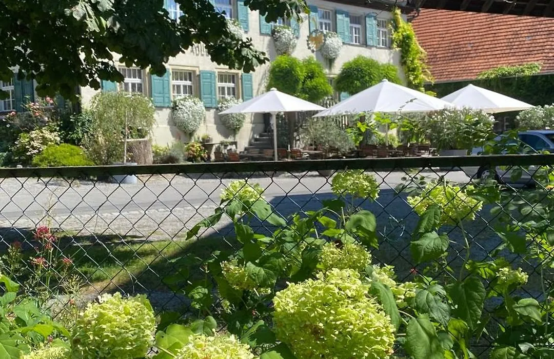 Adler Oberdorf-1