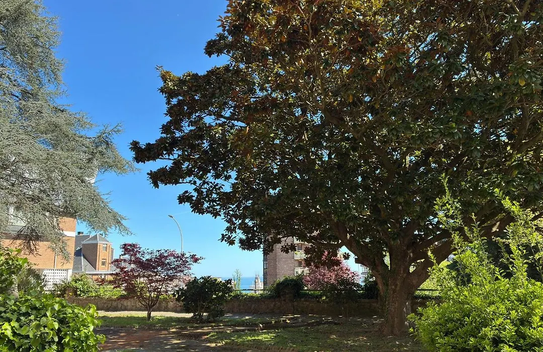 Residencia Universitaria Alto De Miranda - Resisantander-1