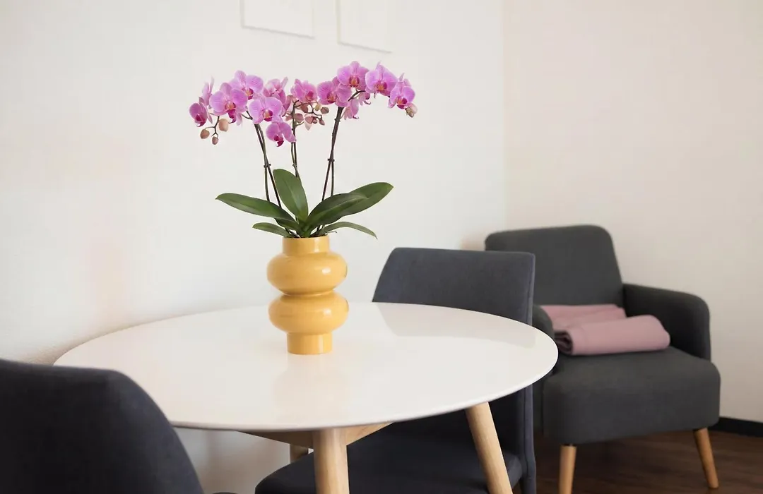 Apartmenthaus zum Trillen Basel City Center-1
