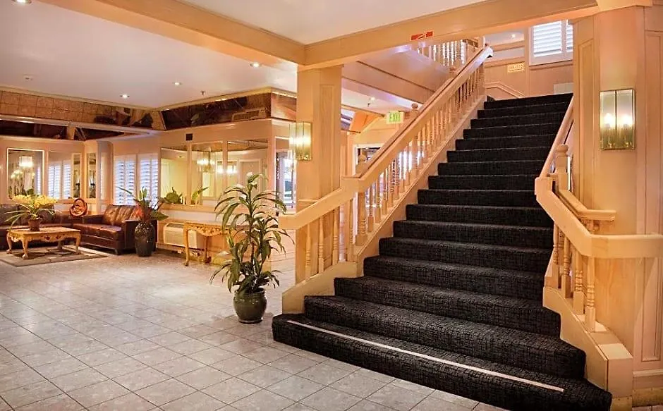 Arena Hotel-1