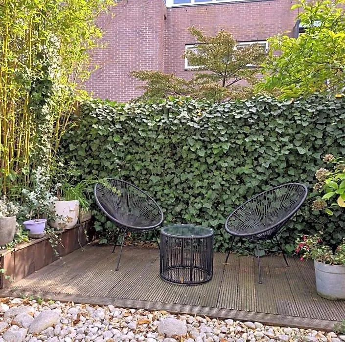 Great Canal Studio - Ac, Water View & Free Parking-1