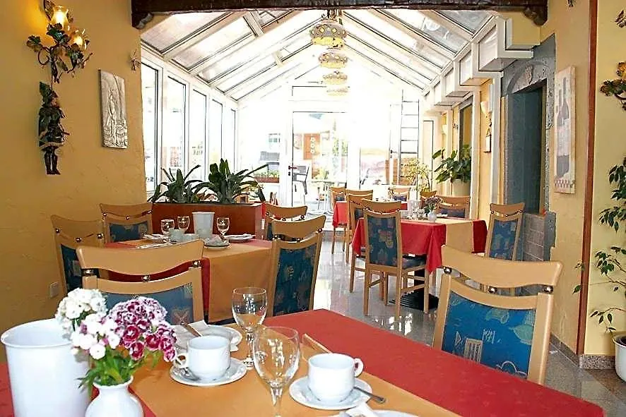 Hotel Vater Rhein-1
