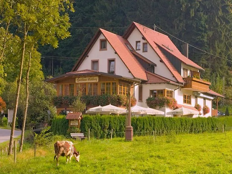 Gasthaus Hohberg-1